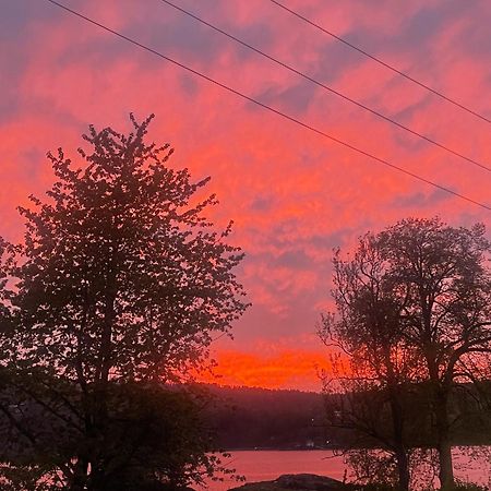 Hyttelaven Pa Furuholmen Sarpsborg Extérieur photo