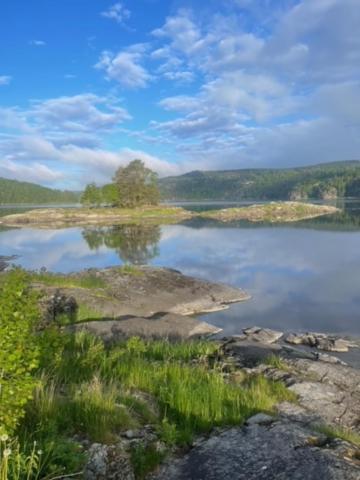 Hyttelaven Pa Furuholmen Sarpsborg Extérieur photo