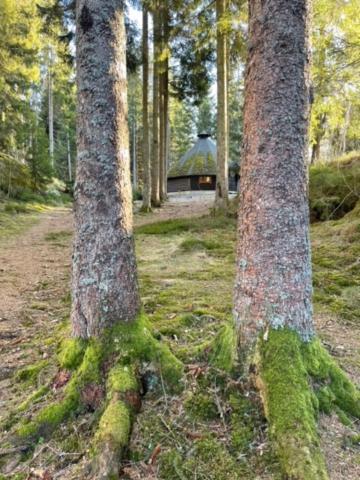 Hyttelaven Pa Furuholmen Sarpsborg Extérieur photo